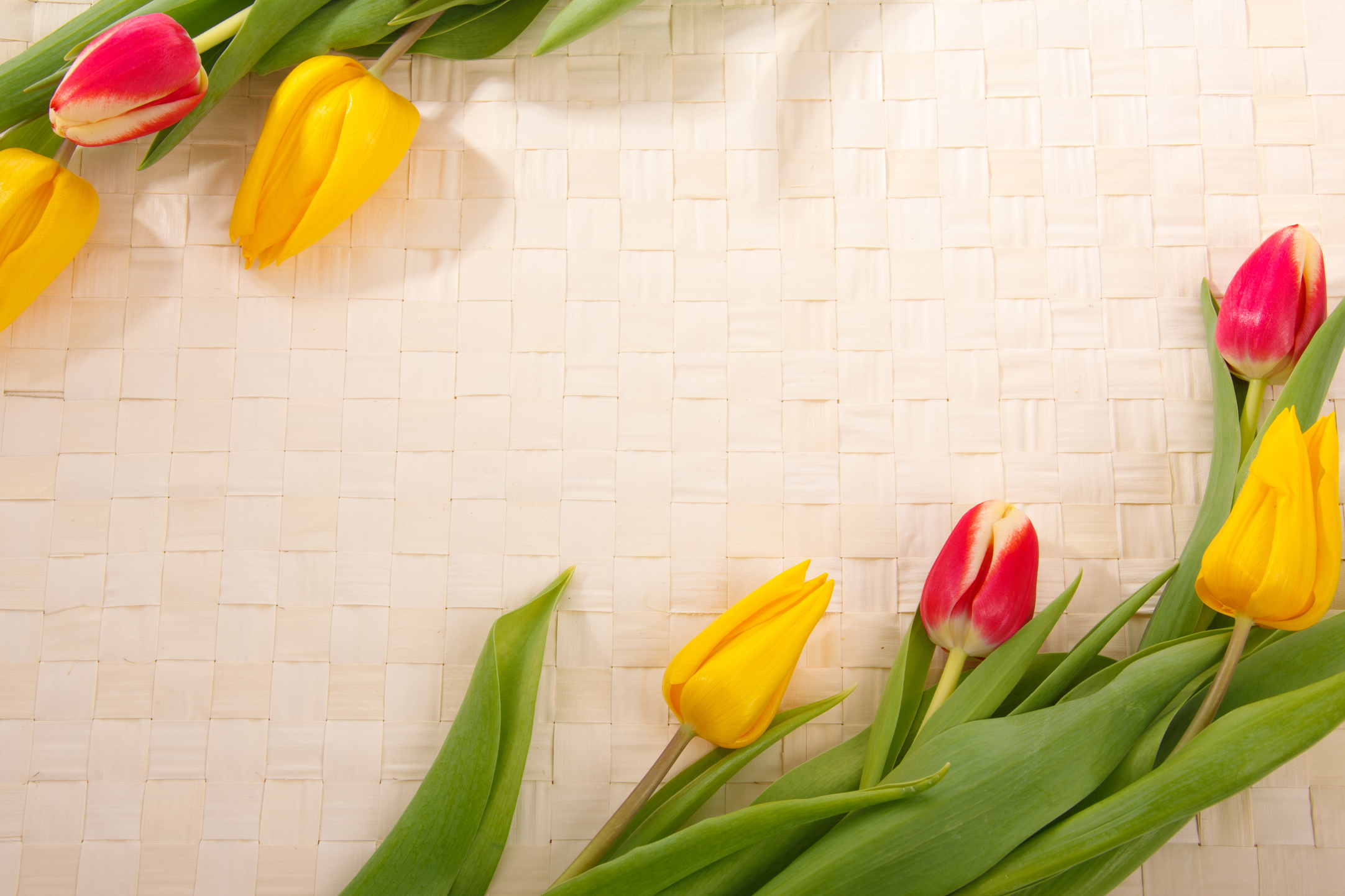 Flowers on Table